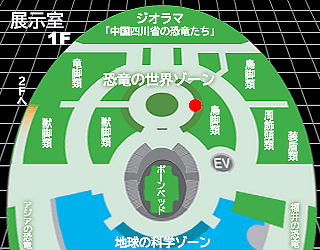 マイアサウラ・ペーブレソルム(幼体)の展示場所
