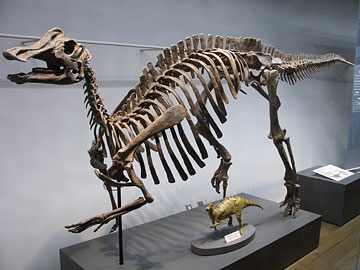 ニッポノサウルス・サハリネンシス