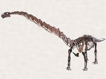 マメンチサウルス・ホチュアネンシス