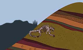 化石となった骨格が地表にあらわれた様子