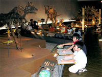 展示室の好きな恐竜のスケッチをします