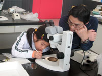 博物館自然教室「植物のミクロの世界をのぞいてみよう！」のイメージ