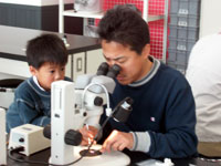 顕微鏡下で花粉を移し取ります