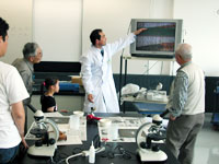 講師から種類判別のポイントを学びます