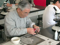 表面をフィルムにはぎ取ります