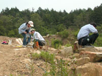 採石場での結晶さがし