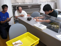 参加者に頭部をスケッチしてもらいました