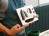 今回作成する歯のレプリカ(着色済み)