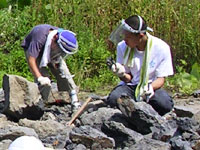 博物館自然教室「恐竜化石発掘現場見学」のイメージ