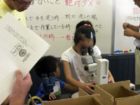 岩石に含まれる化石を観察します