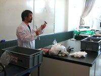 クリーニングのやり方を学習します