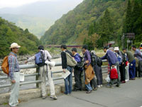 野外観察会「紅葉の九頭竜湖周辺の地学散策」のイメージ