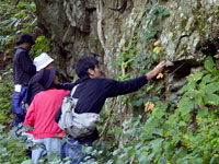 飛騨片麻岩の観察