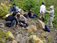 化石が観察できますか