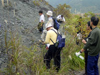 蛇紋岩を観察しましょう