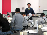 博物館自然教室「砂の中から化石をさがそう」のイメージ