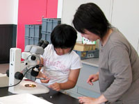 博物館自然教室「植物のミクロの世界をのぞいてみよう！（午後の部）」のイメージ