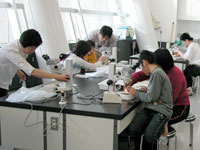 それぞれ顕微鏡で観察してみます