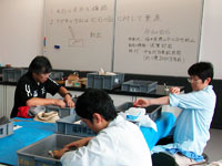 地学指導者実技講座「室内実習：化石のクリーニング」のイメージ