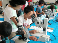 博物館自然教室「目に見えない化石を取り出そう」のイメージ