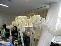 実習室にくみ上げられた骨格模型