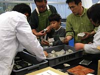 用意した化石の入った石を選びます