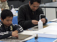 観察のために石を平らにします