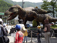 野外観察会「大野市（旧和泉村）の手取層群」のイメージ