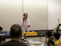 今回使う木材化石についての解説