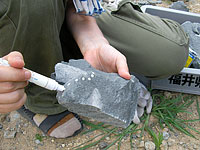 見事！恐竜の骨を発見