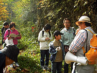 谷戸口で縞模様の岩石観察
