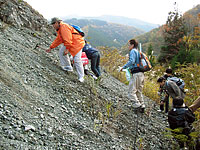 箱ヶ瀬で蛇紋岩観察