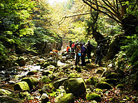 石灰石表面の化石探し