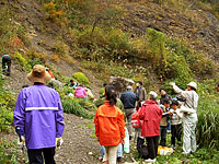 伊月で化石探し