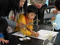 始祖鳥と原生の鳥の骨格