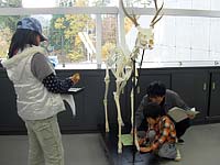 特徴や共通点が見つかりましたか?