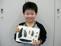 レプリカ完成です。様々の形の歯です。