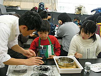 博物館自然教室「石の中から『たね』の化石をとりだそう！」のイメージ