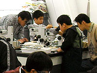 化石片を顕微鏡で観察します