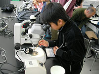 博物館自然教室「目に見えない化石を取り出そう！」のイメージ