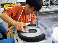 博物館自然教室「化石のペーパーウェイトをつくろう！」のイメージ