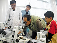 表面に出た化石を顕微鏡で観察します。