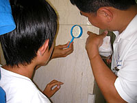 一見、分かりにくいところにも化石が