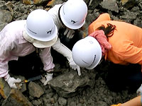 何か発見できましたでしょうか?