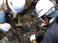 何か発見できましたでしょうか？