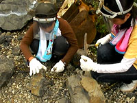 博物館自然教室「恐竜化石発掘現場見学」のイメージ