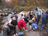 松山谷周辺で地層観察