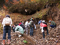 貝化石産状の観察