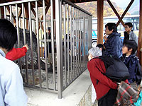 天然記念物 牛丸ジュラ紀化石