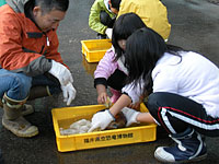 博物館自然教室「お父さんとクジラを掘ろう！」のイメージ
